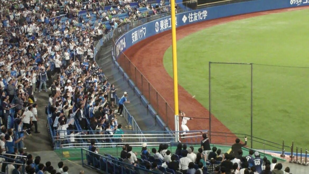 ヤクルト 山崎晃大朗 ナイスプレー　ヤクルト vs 西武　2024年6月6日(木)　神宮球場