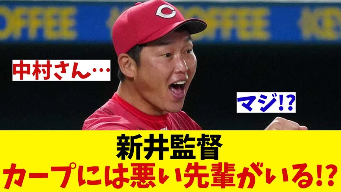 広島・新井監督　カープには悪い先輩がいるらしいwwwwwww【野球情報】【2ch 5ch】【なんJ なんG反応】