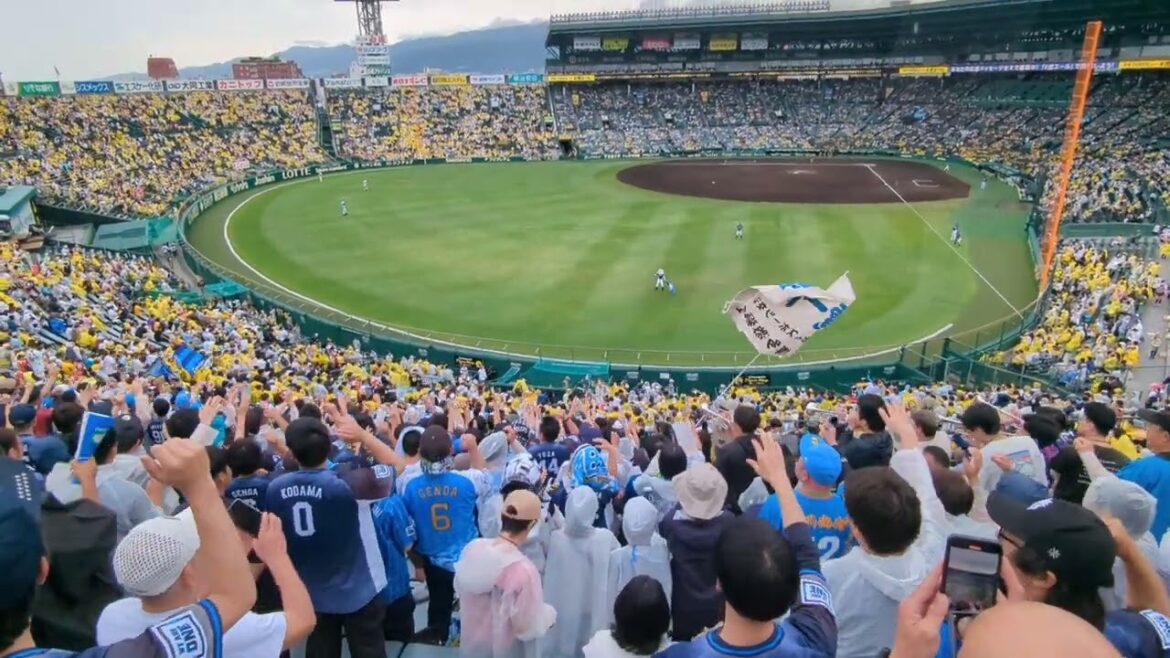 【交流戦2024】埼玉西武ライオンズ応援歌1-9 奥村光一支配下登録即昇格＆即スタメン 阪神-西武 甲子園球場ビジター応援席より 2024/6.9