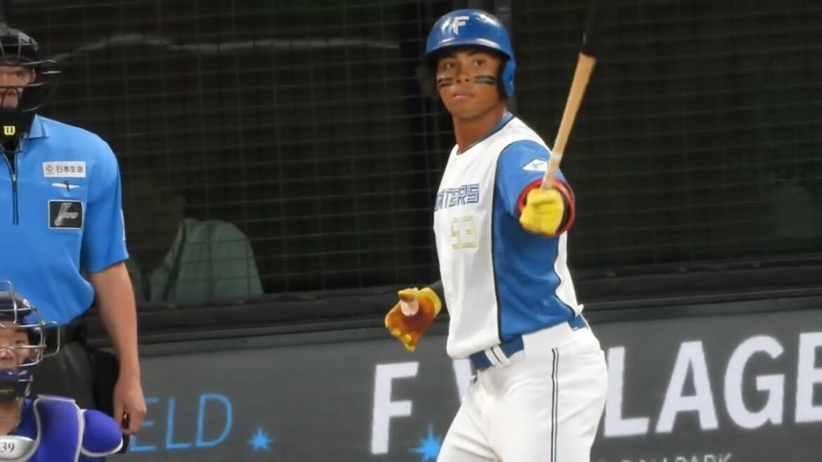 水谷瞬が怪物すぎて怖い😱WBC日本代表高橋宏人から爆裂タイムリーヒットを放つ瞬間‼︎エスコンフィールド北海道日本ハムファイターズ対中日ドラゴンズ