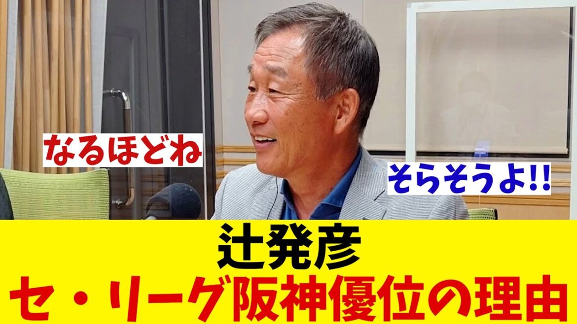 辻発彦　阪神は交流戦不調もリーグ戦は優位！？【野球情報】【2ch 5ch】【なんJ なんG反応】