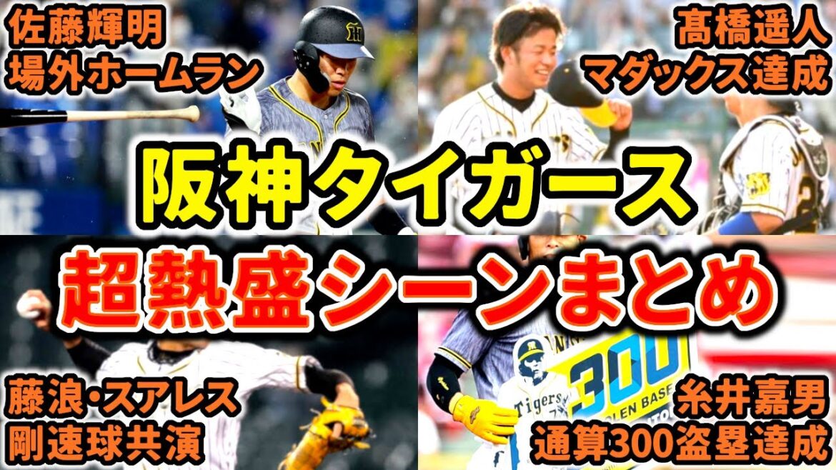 【熱盛】阪神タイガース 超熱盛シーンをまとめました!! ぜひご覧あれ!! (Hanshin Tigers) 【熱盛】阪神タイガース 超熱盛シーンをまとめました!! ぜひご覧あれ!! (Hanshin Tigers)