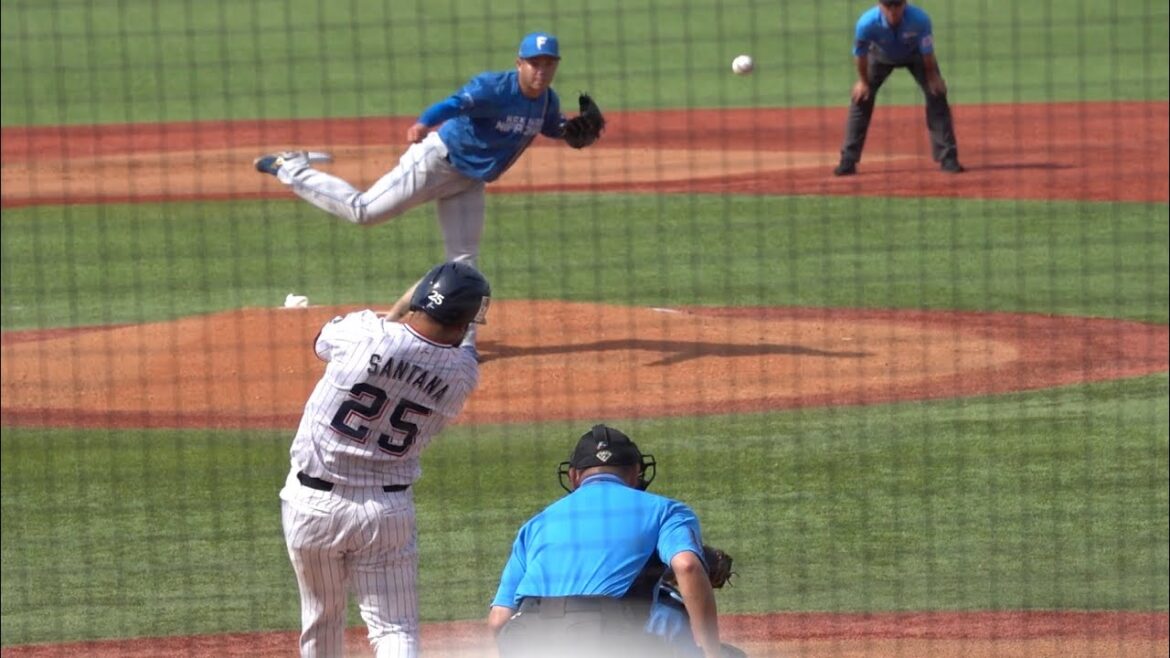 2試合連続！サンタナの3ランホームランで逆転！東京ヤクルトスワローズ 2024/06/08 交流戦