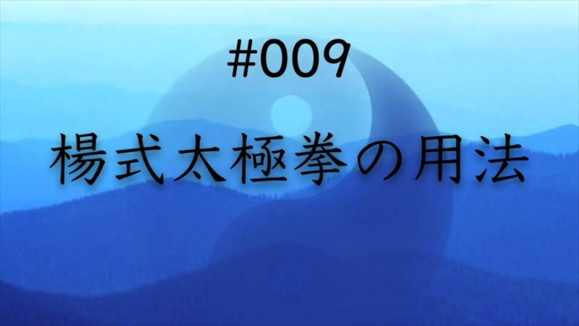 楊式太極拳の用法009/楊無敵の実戦用法・鍛えず思い出すだけの・究極の護身術
