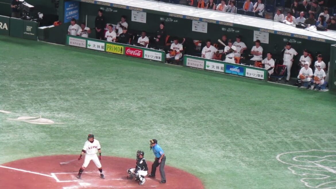 立岡宗一郎ハーフスイング取られた打席とジャイアンツベンチ（読売ジャイアンツ対 千葉ロッテマリーンズ2024年6月4日）
