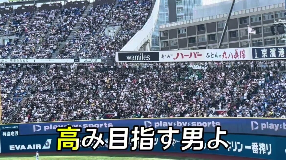 【福岡ソフトバンクホークス】嶺井博希 選手応援歌