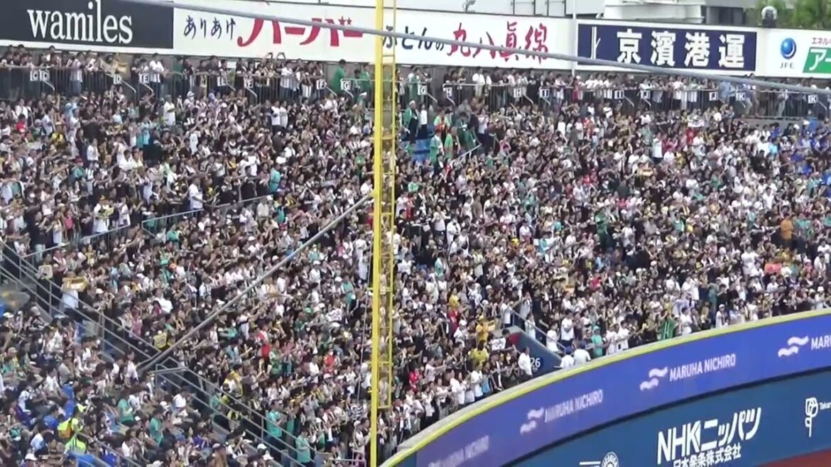 【オス! チャンス(改)】福岡ソフトバンクホークス 応援歌・チャンステーマ|vs横浜DeNAベイスターズ 2024.06.09 交流戦 【オス! チャンス(改)】福岡ソフトバンクホークス 応援歌・チャンステーマ|vs横浜DeNAベイスターズ 2024.06.09 交流戦