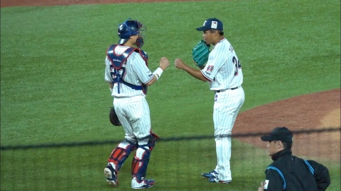 4連勝！今シーズン初セーブの田口麗斗が3人で完璧に締めた！勝利の瞬間ハイタッチ！東京ヤクルトスワローズ 2024/06/06 交流戦