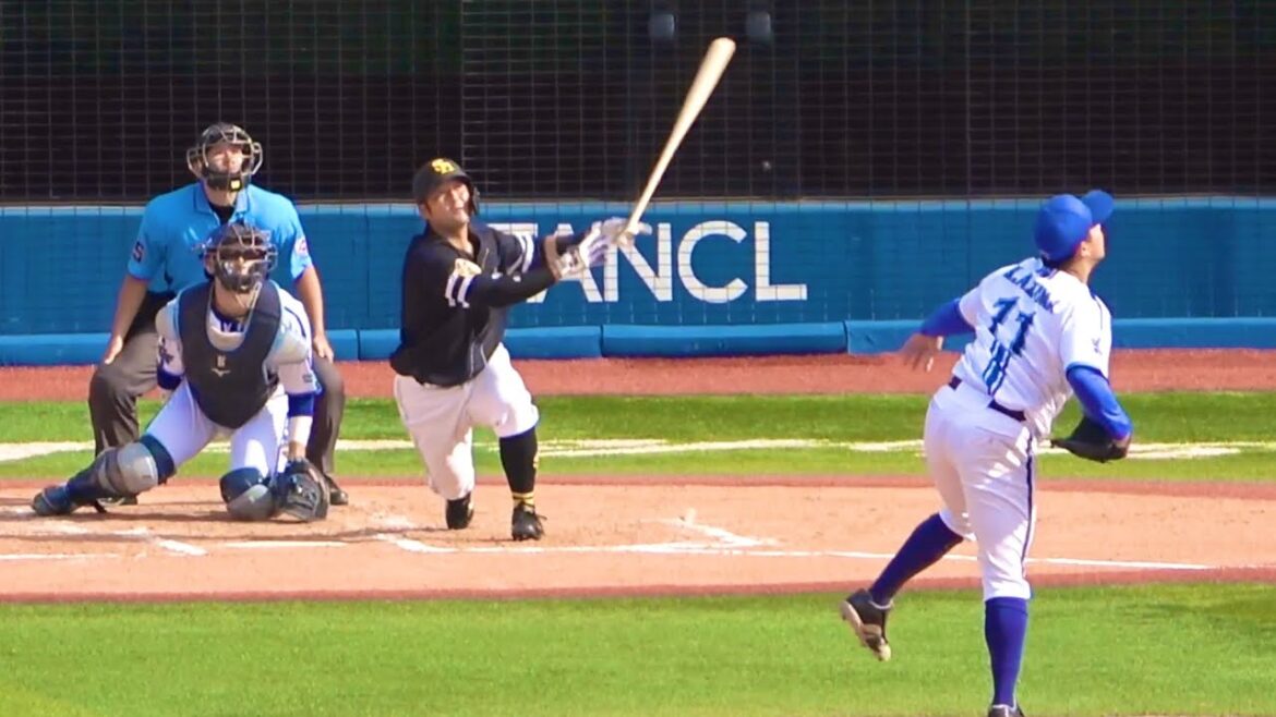 嶺井博希、綺麗なバット投げ披露、そして自分で回収してホームインw 横浜DeNAベイスターズ 2024/6/8