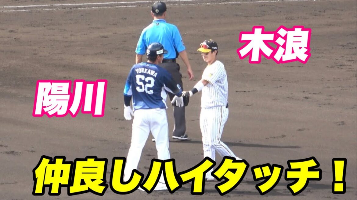 【江越級の元虎のロマン砲陽川が登場で虎ファンから歓声を受ける！！】阪神対西武