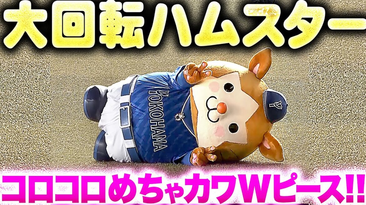Pacific-League: 【大回転ハムスター】DB.スターマン『猛然ダッシュ → コロコロめちゃカワWピース!』 【大回転ハムスター】DB.スターマン『猛然ダッシュ → コロコロめちゃカワWピース!』