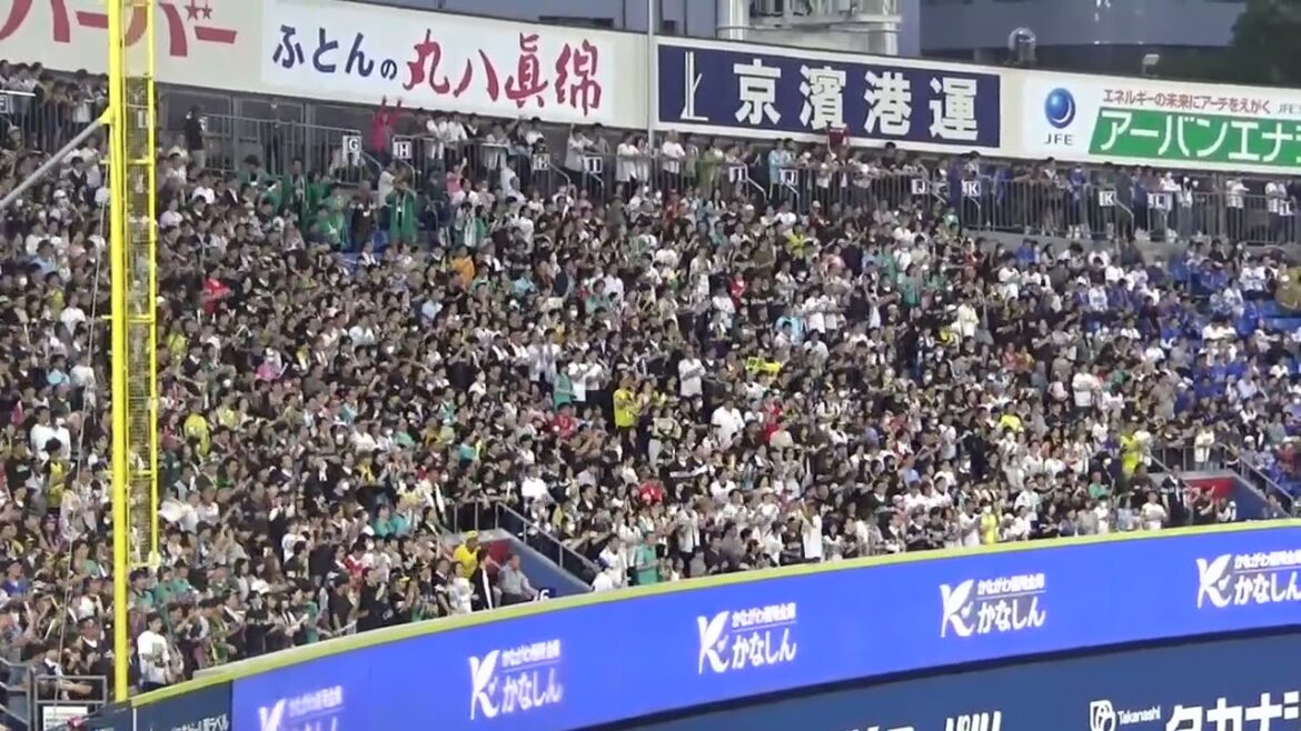 【わっしょい】福岡ソフトバンクホークス 応援歌・チャンステーマ｜vs横浜DeNAベイスターズ 2024.06.07 交流戦