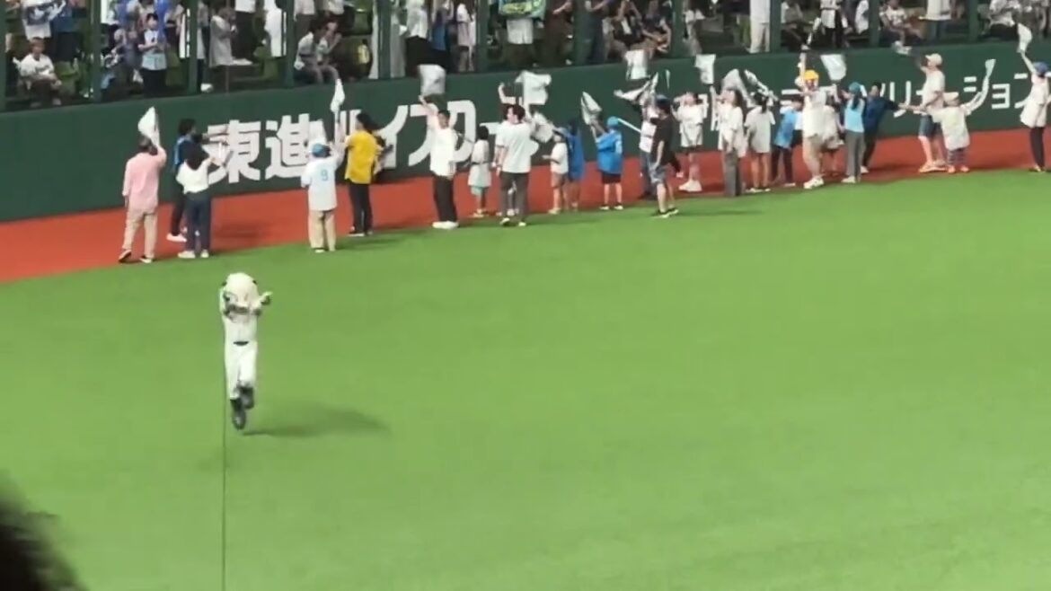 今日も人がたくさん出てくる『吠えろライオンズ 』【西武vs広島】2024/6/11 セパ交流戦13戦目