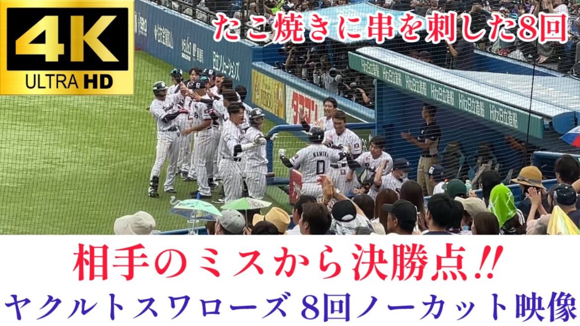 【安打なしで1点】ガイエルフライ→バント→犠牲フライで決勝点‼︎ 東京ヤクルトスワローズ8回の攻撃(ほぼ)ノーカット映像 北海道日本ハムファイターズ 2024.6/9