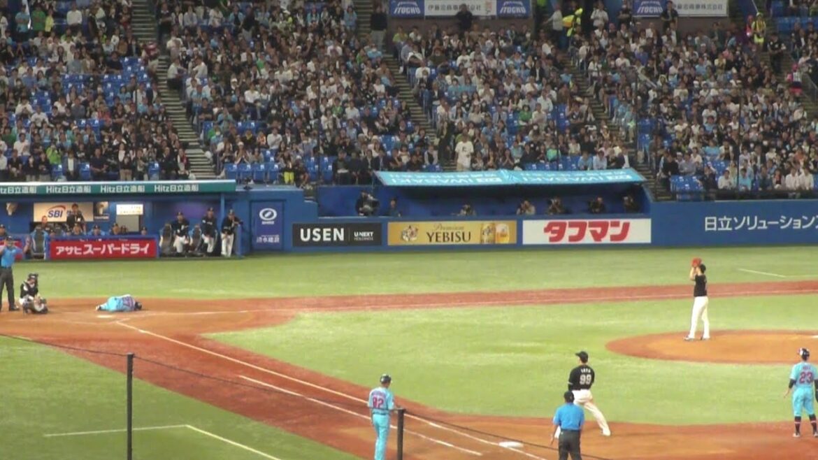 ヤクルト 中村悠平 デッドボール　ヤクルト vs ロッテ　2024年5月29日(水)