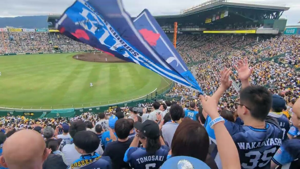 阪神-西武 埼玉西武ライオンズ西日本限定チャンステーマ 日本一狭いビジター応援席より2024/6.9