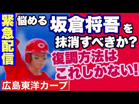 【広島東洋カープ】坂倉将吾を抹消すべきなのか― この悩める課題への解答を考えてみました 臨時配信になります 【坂倉将吾】【カープ】 【広島東洋カープ】坂倉将吾を抹消すべきなのか― この悩める課題への解答を考えてみました 臨時配信になります 【坂倉将吾】【カープ】
