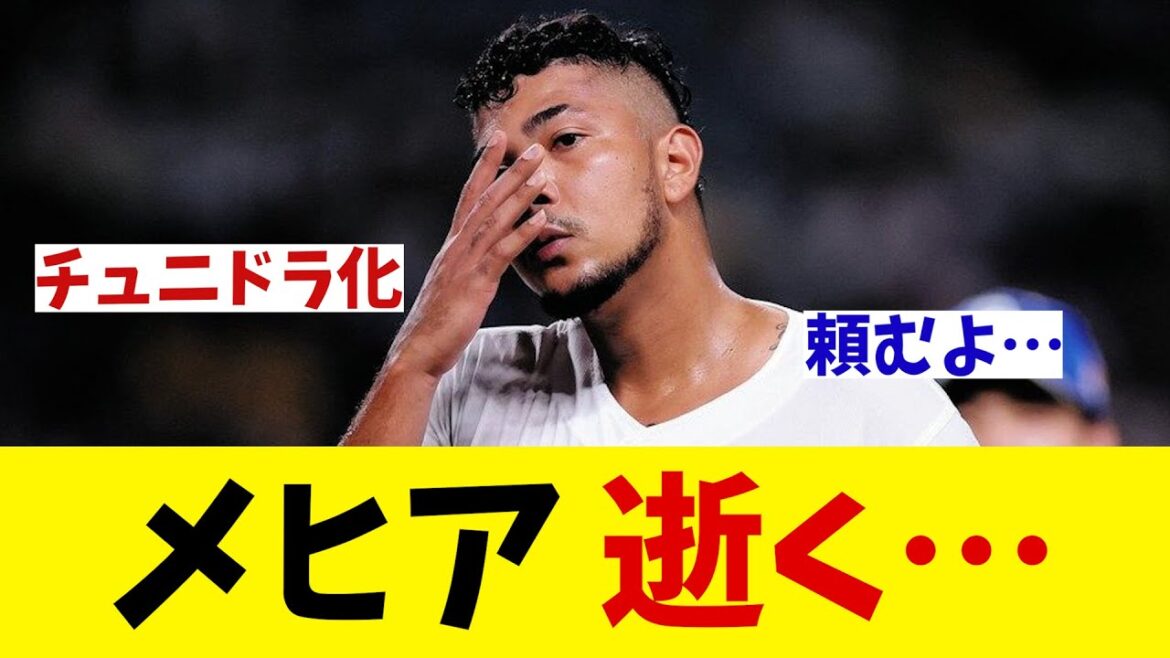 中日・メヒア　逝く・・・【野球情報】【2ch 5ch】【なんJ なんG反応】