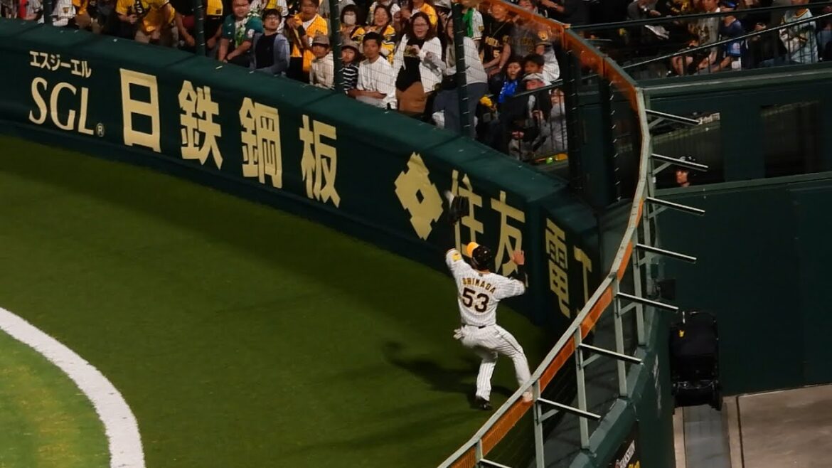 【これぞ守備固め】島田海吏、フェンス際まで飛んだ大飛球に一直線で追いつきナイスキャッチ！値千金の守備に笑顔！2024.6.7