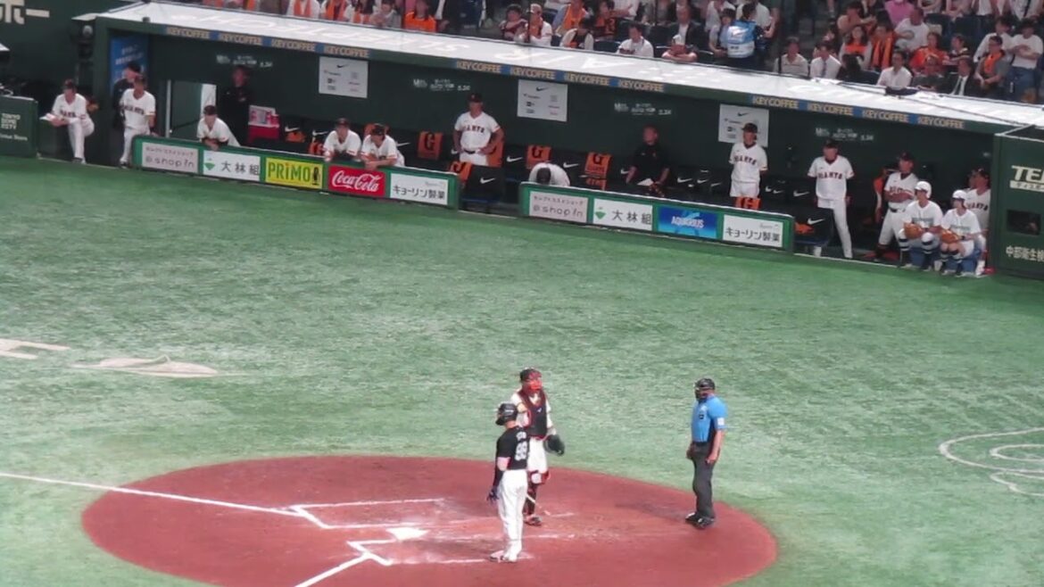 【阿部慎之助】秋広優人の守備にズッコける〜ソトの走者一掃タイムリーとき＜読売ジャイアンツ対 千葉ロッテマリーンズ2024年6月6日＞