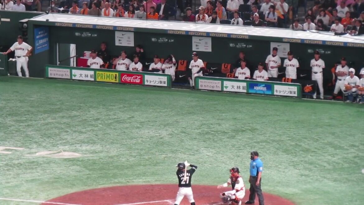 田村龍弘を抑えた時の巨人ベンチの様子＜読売ジャイアンツ対 千葉ロッテマリーンズ2024年6月6日＞