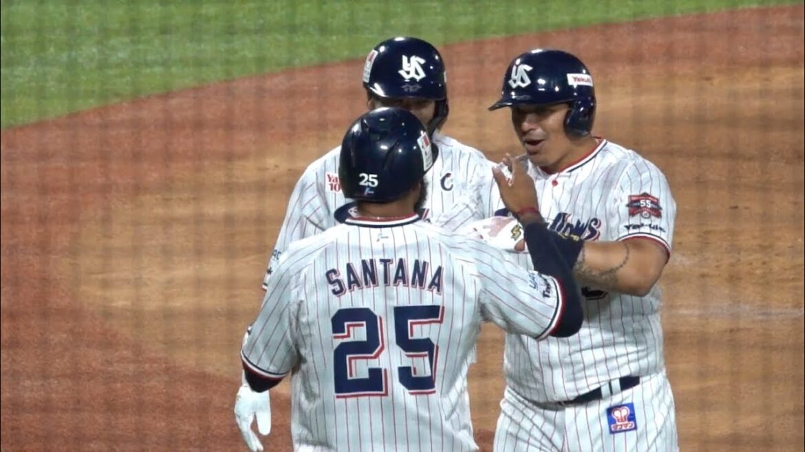 この笑顔を待ってました！オスナの3ランホームラン！東京ヤクルトスワローズ 2024/06/05