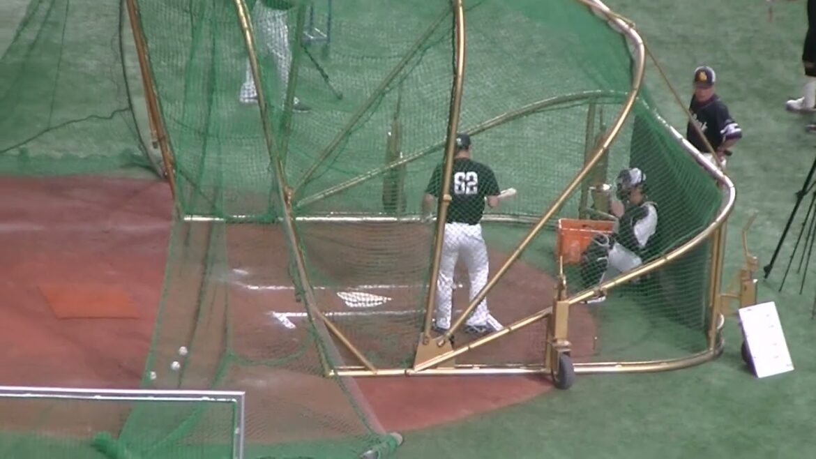 ソフバン海野隆司のフリーバッティング【読売ジャイアンツ対ソフトバンクホークス2024年5月30日】