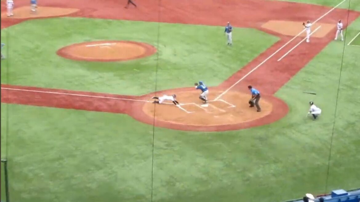 【超俊足】西川遥輝の犠飛で並木秀尊が快速ホームイン！ヤクルト8回裏の攻撃 ヤクルト×日本ハム【2024/6/9】