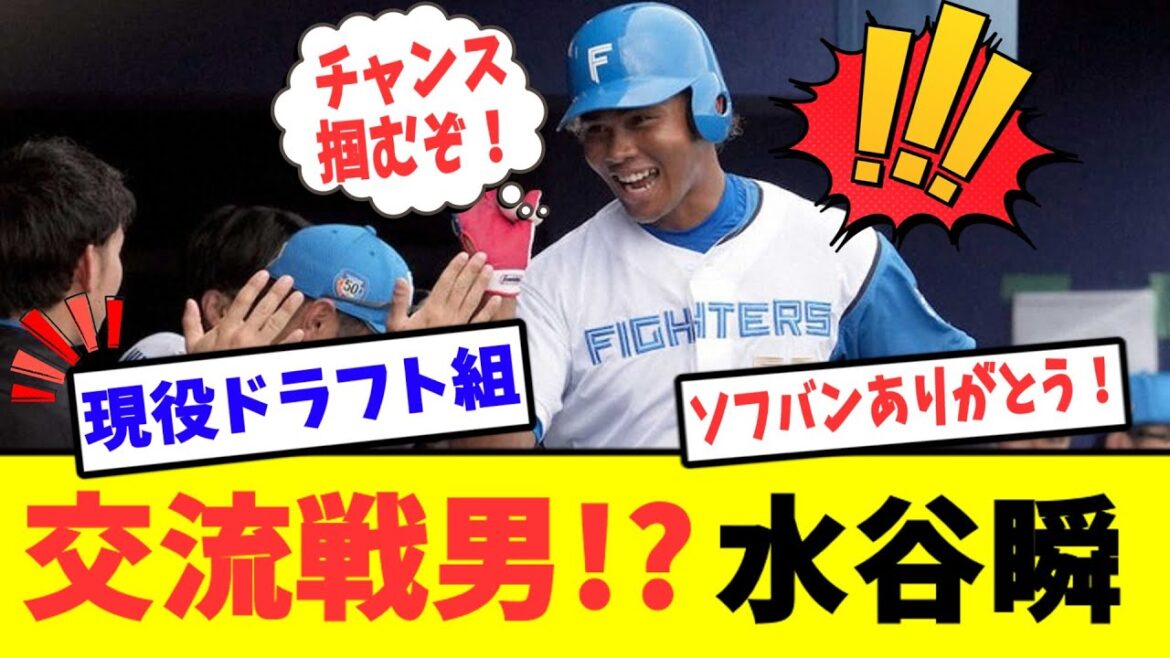 交流戦男確定!?交流戦打率5割7分9厘のチャンスを掴む絶好調の日ハム水谷瞬!!
