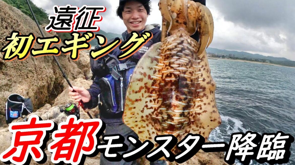 ここはアオリイカ楽園！？美人エギング釣りガールと無理やりコラボ丹後半島遠征に行ったらモンスター釣れた