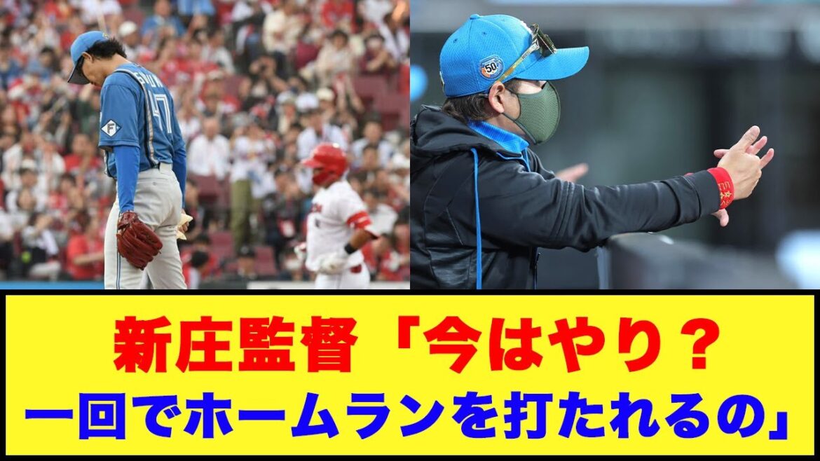 【日本ハム】新庄監督「今はやり？一回でホームランを打たれるの」【日本ハム反応集】【ネットの反応】#日本ハムファイターズ #新庄監督 #鈴木健矢