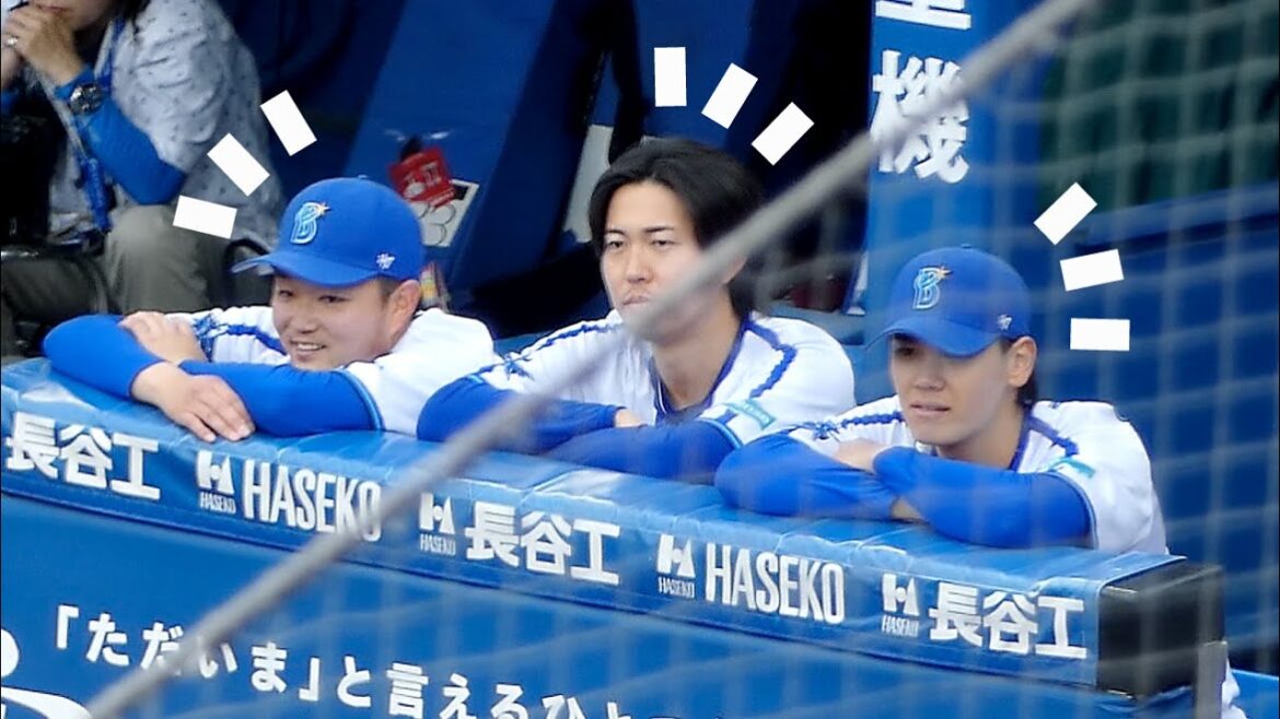 【石田京山坂本】この3人なんかほっこりする☺️【横浜DeNAベイスターズ 2024/6/9】