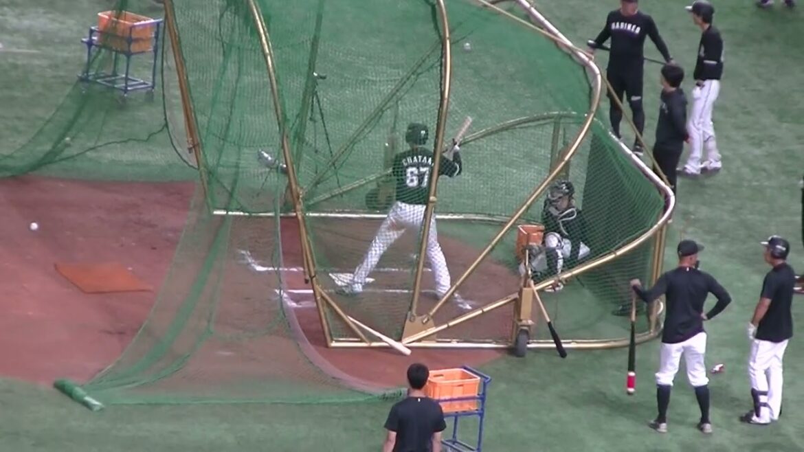 【千葉ロッテ】茶谷健太がフリーバッティング【読売ジャイアンツ対千葉ロッテマリーンズ2024年6月4日】