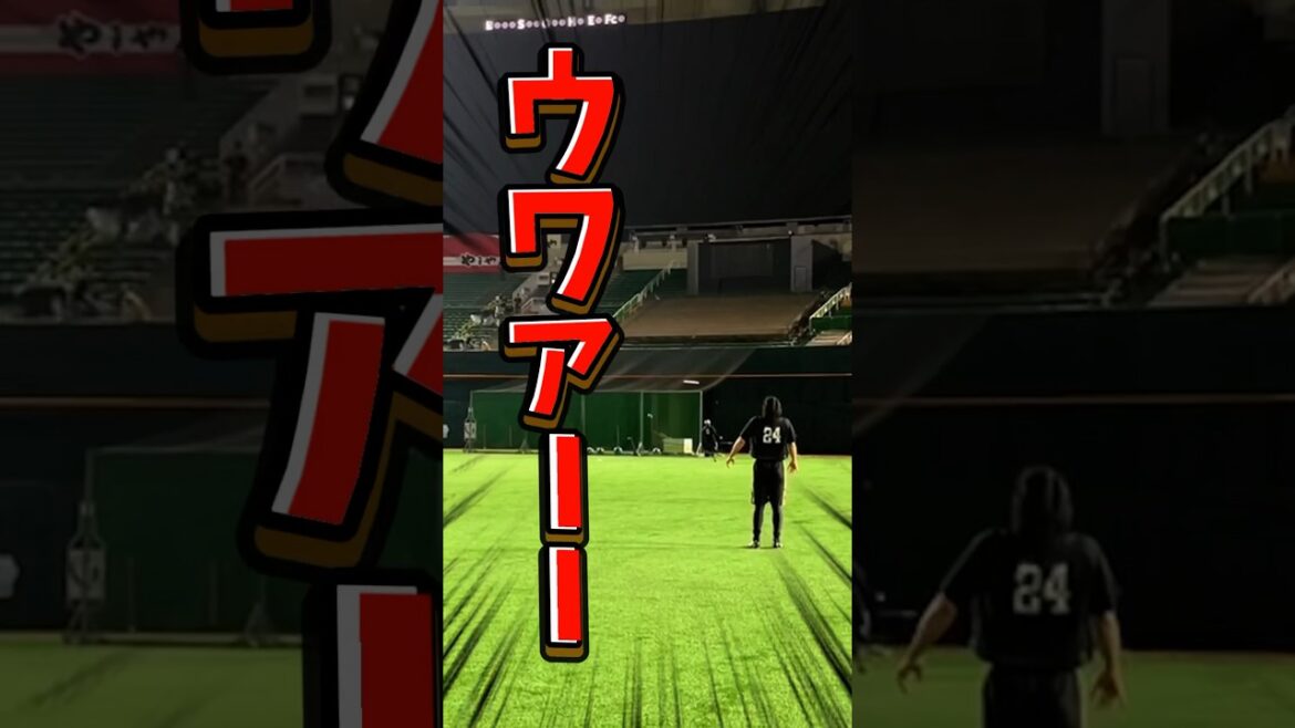 【トライなるか】#shorts #栗原陵矢 #川瀬晃 #rugby #ラグビー #福岡ソフトバンクホークス #sbhawks 【ラグビー🏉】