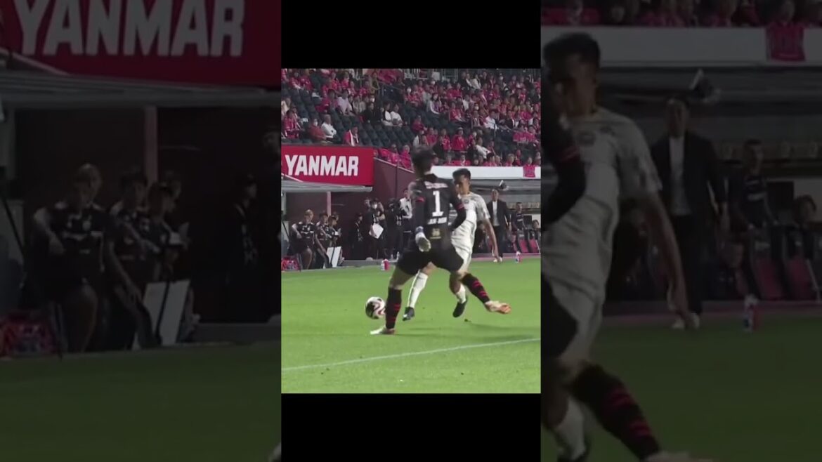 #セレッソ大阪 に逆転勝利‼️ #fc町田ゼルビア #zelvia #shorts