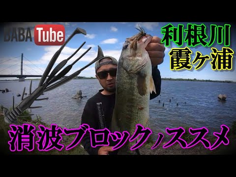 BABATube【霞ヶ浦・利根川】スモラバ+ジミーシュリンプ=テナガエビ BABATube【霞ヶ浦・利根川】スモラバ+ジミーシュリンプ=テナガエビ