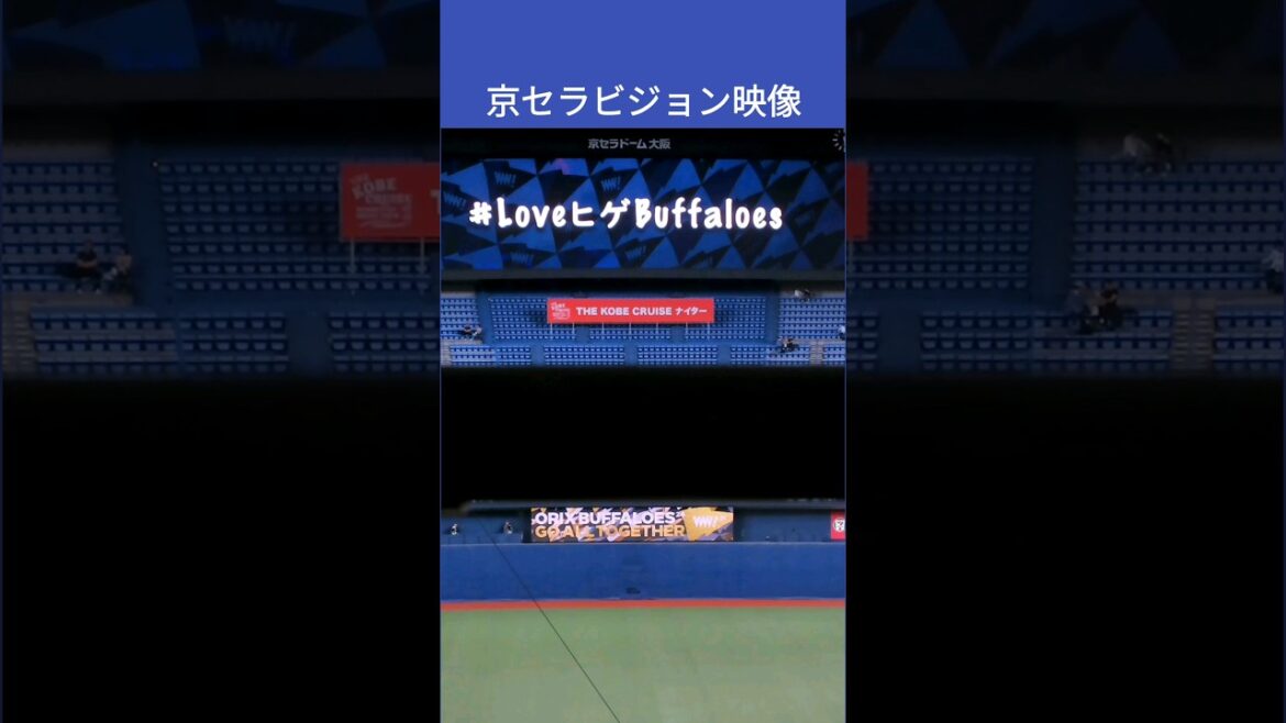【#LoveヒゲBuffaloes】京セラビジョン映像 #shorts