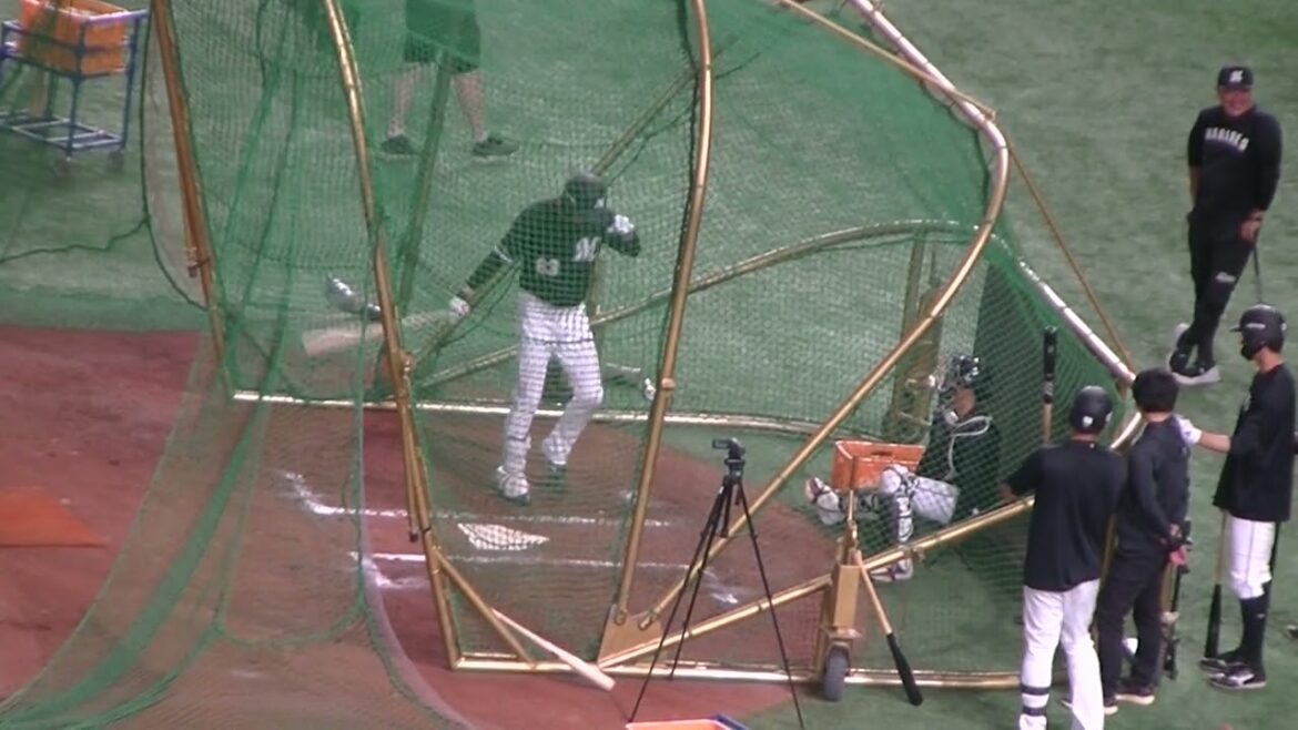 【千葉ロッテ】和田康士郎がフリーバッティング【読売ジャイアンツ対千葉ロッテマリーンズ2024年6月4日】