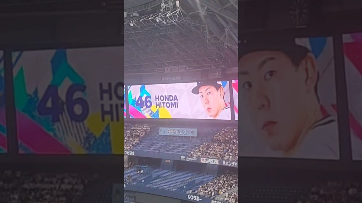 Aぇさんのデビュー曲を登場曲にしていた本田選手 全然知らなくてニヤニヤが止まりませんでした😂 #プロ野球 #オリックスバファローズ #登場曲 #本田仁海 #aぇgroup