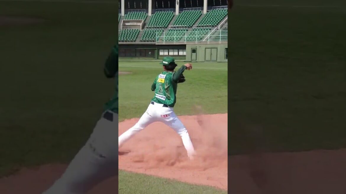 【近くに寄ってみた】堺シュライクス・十倉幸太と車谷仁【試合後自主練習】 #shorts 【近くに寄ってみた】堺シュライクス・十倉幸太と車谷仁【試合後自主練習】 #shorts