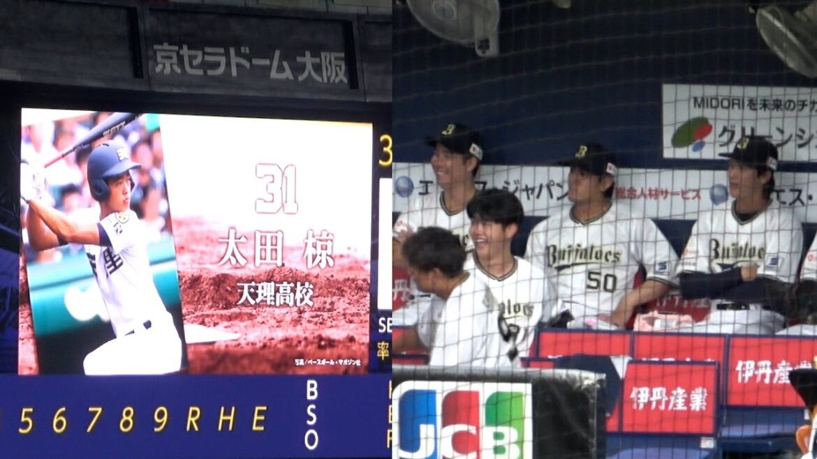 スタメン発表で盛り上がるバファローズ高校野球部のベンチ
