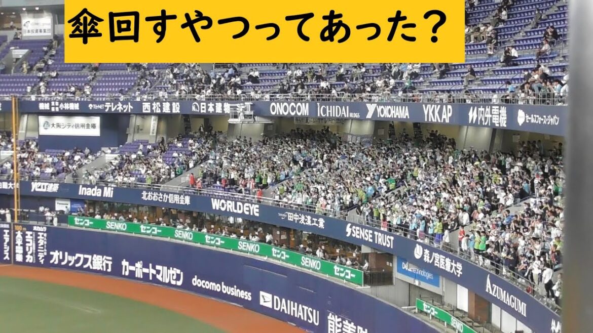 傘がキレイ　＃東京ヤクルトスワローズ#Bs2024  #ORIX #オリックスバファローズ #オリックス#プロ野球 #NPB #オリ姫 #京セラドーム大阪