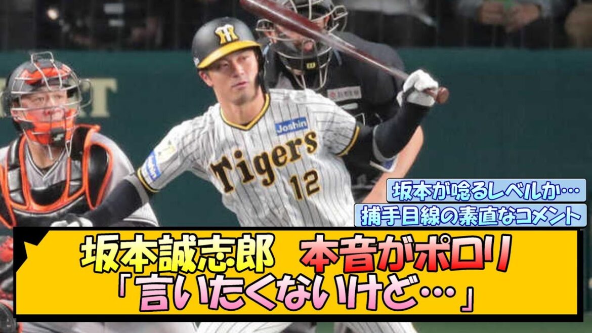 坂本誠志郎 本音がポロリ「言いたくないけど…」【なんJ/2ch/5ch/ネット 反応 まとめ/阪神タイガース/岡田監督/戸郷翔征】 坂本誠志郎 本音がポロリ「言いたくないけど…」【なんJ/2ch/5ch/ネット 反応 まとめ/阪神タイガース/岡田監督/戸郷翔征】