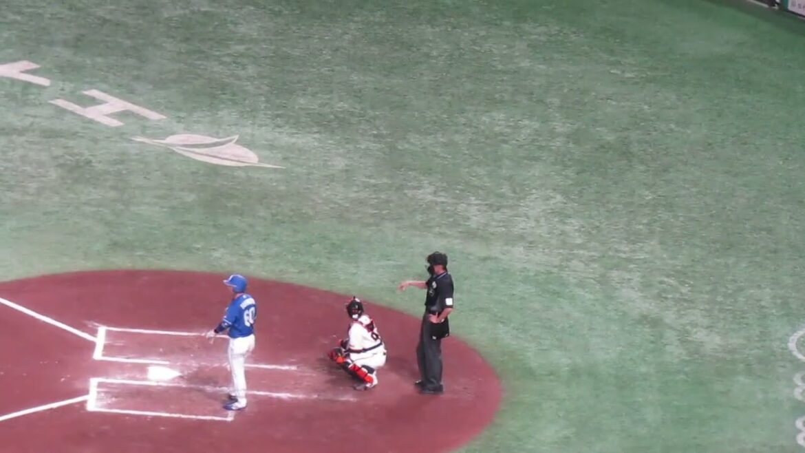 元巨人 山本泰寛のバントを阻止したい岸田行倫（読売ジャイアンツ対 中日ドラゴンズ2024年4月24日）