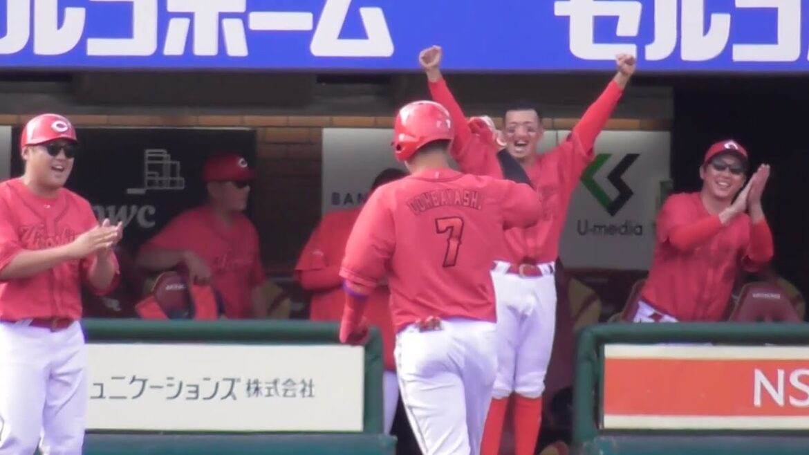 二俣、秋山、坂倉、堂林翔太のタイムリー！広島カープ勝利の全得点シーンハイライト！2024年6月15日