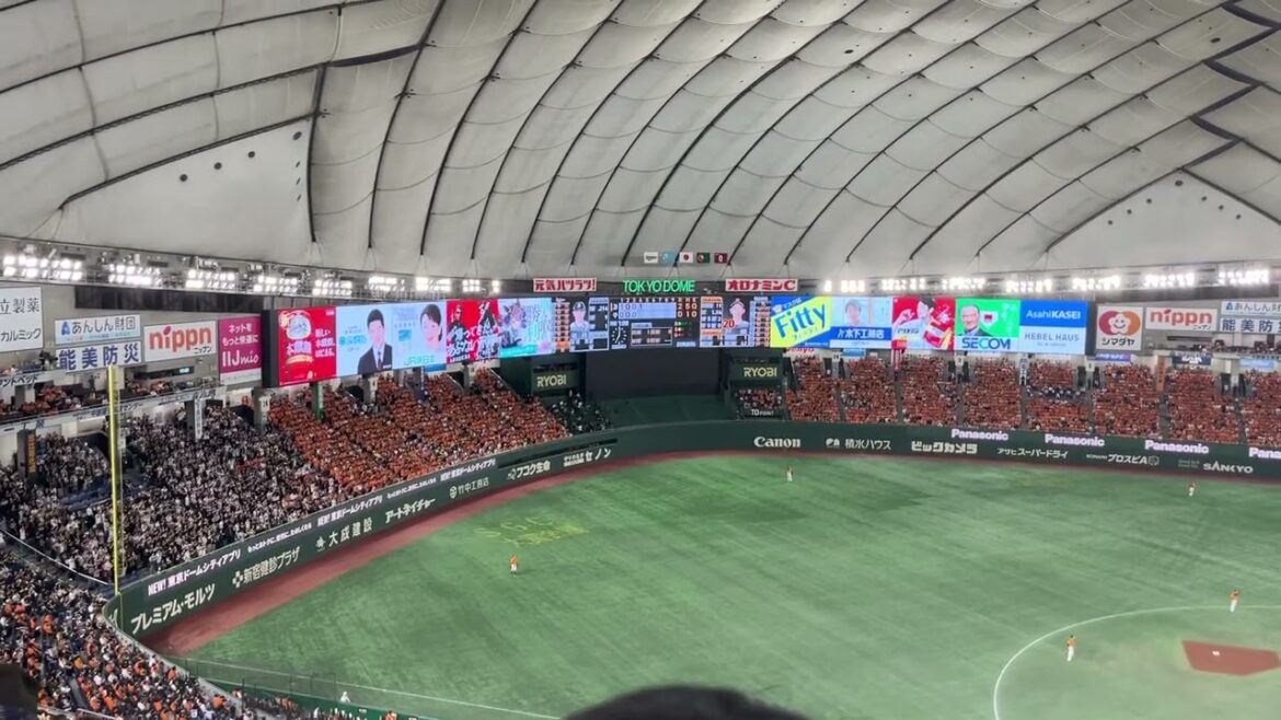 2024 オリックス 若月健矢 応援歌