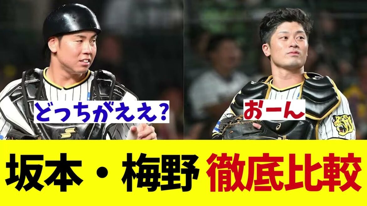 阪神　坂本・梅野の徹底比較してみたら意外な結果に!?wwwwwww【野球情報】【2ch 5ch】【なんJ なんG反応】