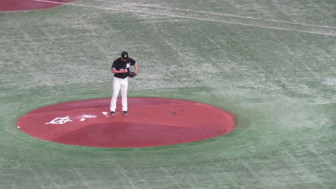 マリーンズ西野勇士のピッチングフォーム＜読売ジャイアンツ対 千葉ロッテマリーンズ2024年6月6日＞