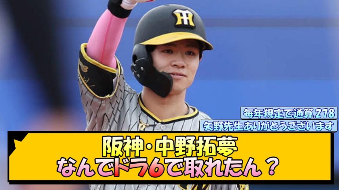 阪神・中野拓夢 なんでドラ６で取れたん？【なんJ/2ch/5ch/ネット 反応 まとめ/阪神タイガース/岡田監督/小幡竜平/木浪聖也】