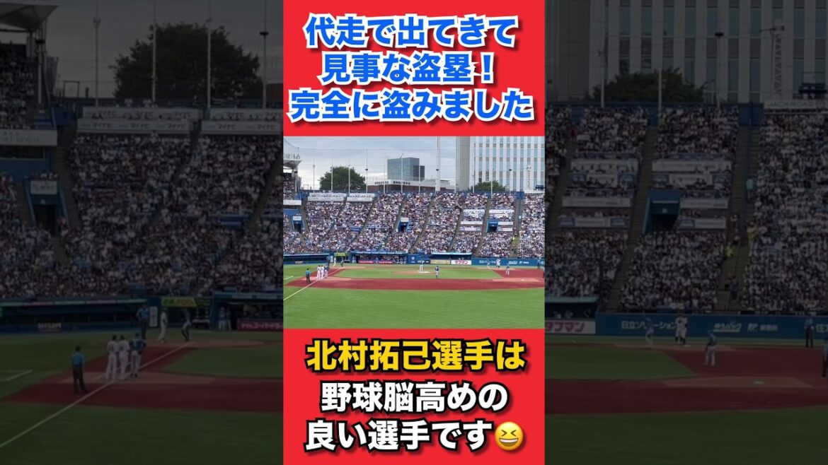 北村拓己選手の代走時見事な盗塁!完全に虚をついたスチール! #swallows #ヤクルト #スワローズ #ヤり返せ #北村拓己 #盗塁 #セパ交流戦 #すわほー #野球 北村拓己選手の代走時見事な盗塁!完全に虚をついたスチール! #swallows #ヤクルト #スワローズ #ヤり返せ #北村拓己 #盗塁 #セパ交流戦 #すわほー #野球